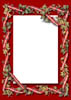 HollyRed